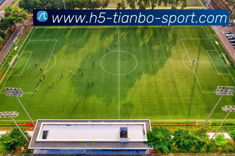 天博体育APP 体育赛事宣传图